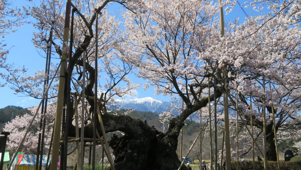 PICA八ヶ岳明野